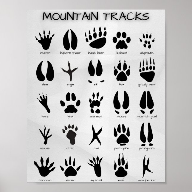 Poster des pistes de montagne (Devant)