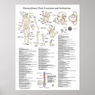 Poster des points d'acupuncture extraordinaires