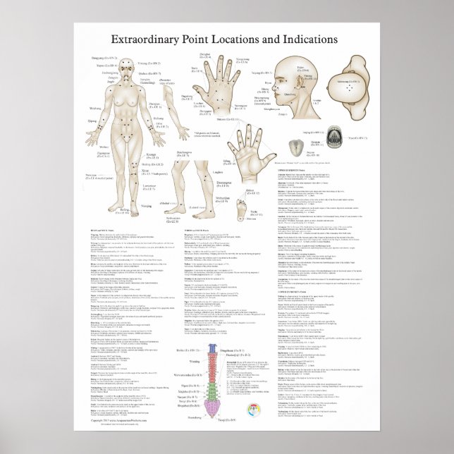 Poster des points d'acupuncture extraordinaires (Devant)