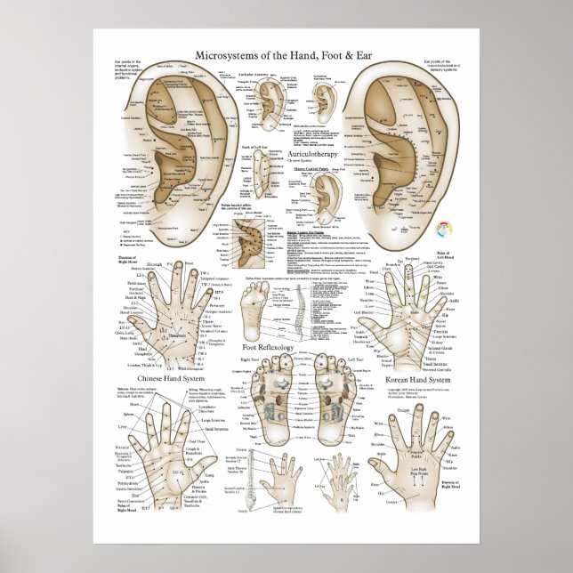 Poster des points de microsystème Acupuncture (Devant)