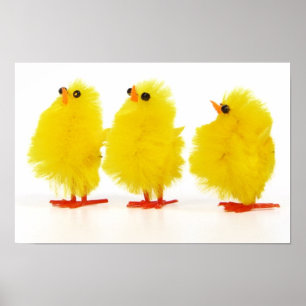 Poster des poussins de Pâques