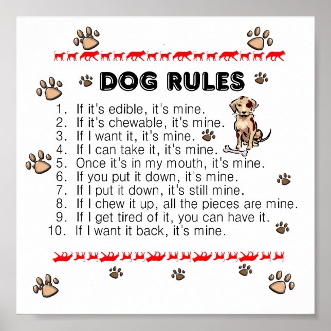 Poster des règles de chien (Devant)