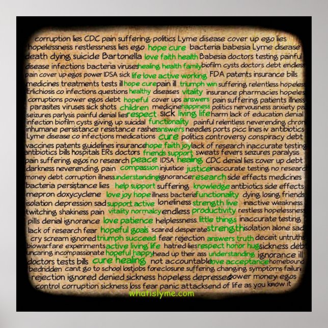 Poster des sentiments de maladie de Lyme, nié, ign (Devant)