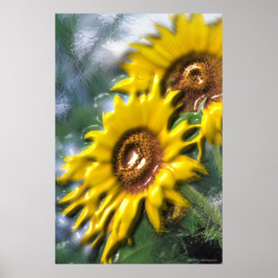 Poster des tournesols