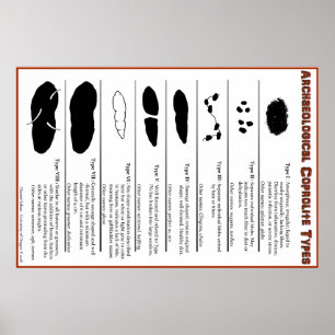 Poster des types de coprolite archéologique