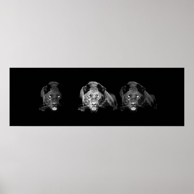 Poster des yeux de chat Jaguar noir sauvage (Devant)