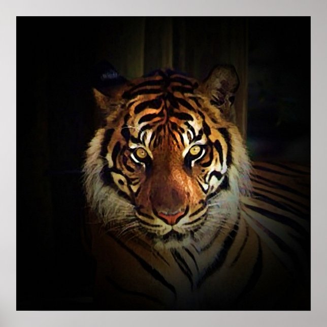 Poster des yeux de tigres - Imprimantes d'art de l (Devant)