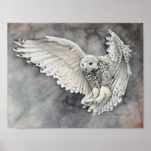 Poster Descente de la Chouette Blanche Aquarelle Art Faun