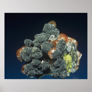 Poster Descloizite sur Calcite