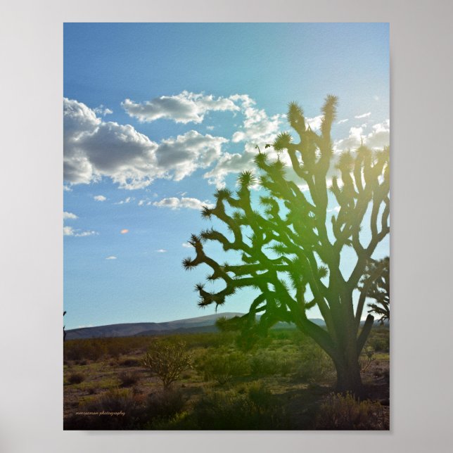 Poster Desert beauty (Devant)