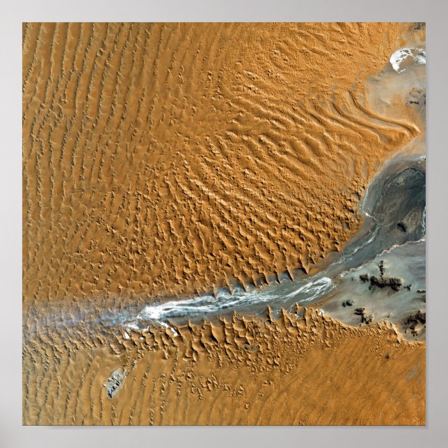 Poster Désert de Namib, Namibie (Devant)