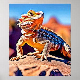 Poster Desert Lizard Gros plan