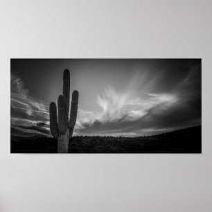 Poster désert noir