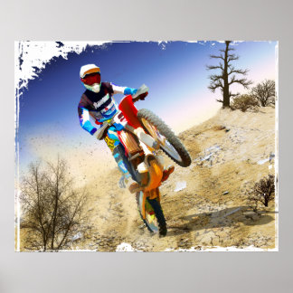 Poster Desert Wheelie