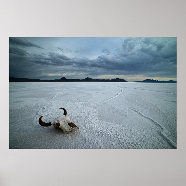 Poster Deserts | Bonneville Salt Flats Utah (Devant)