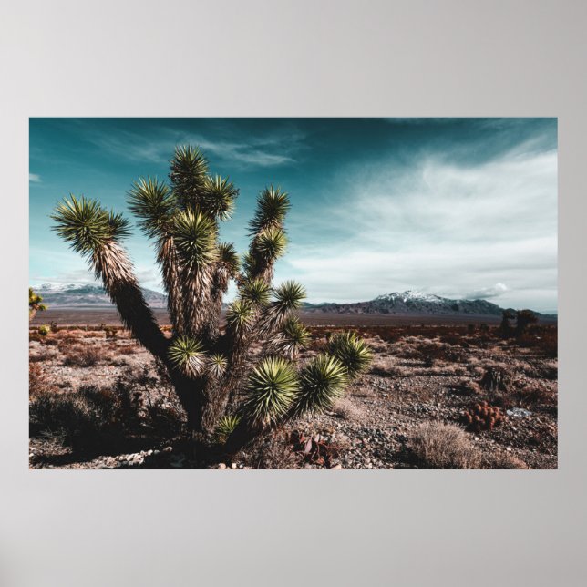 Poster Deserts | Cholla (Devant)