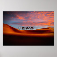 Deserts | Man & Camels in the Sand Dunes