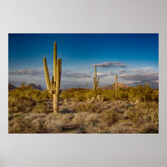 Poster Deserts | Superstition Mountains, Arizona (Devant)