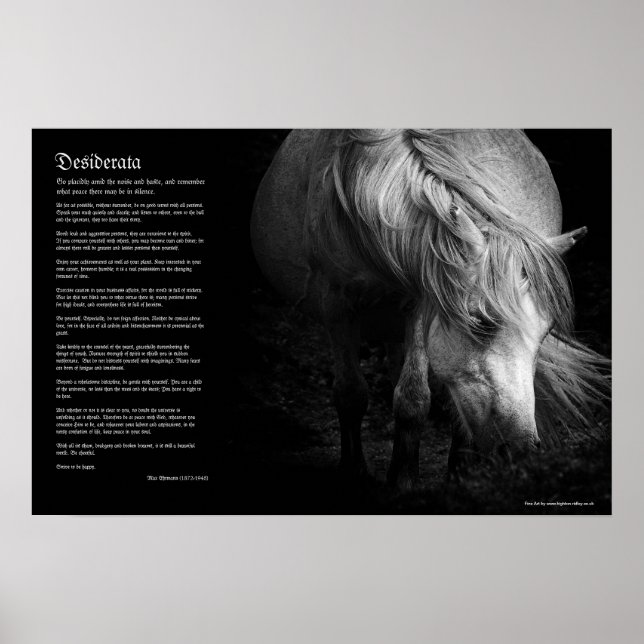 Poster Desiderata - Fine Art Pony Head et Mane (Devant)