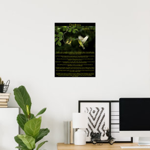 Poster Desiderata Hummingbird avec bébés