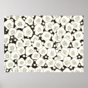 Poster Design d'antiquité de la fleur blanche japonaise