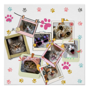 Poster Design de collage de chat mignon et drôle