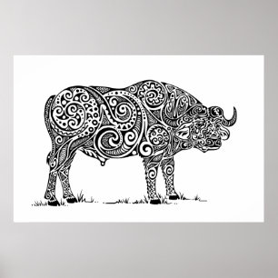 Poster Design du Cap Buffalo