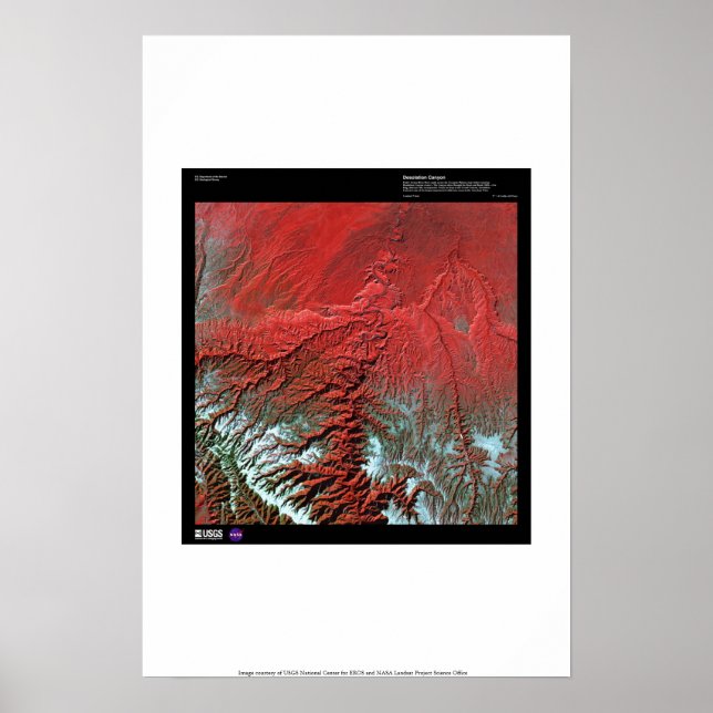 Poster Desolation Canyon Utah (Devant)