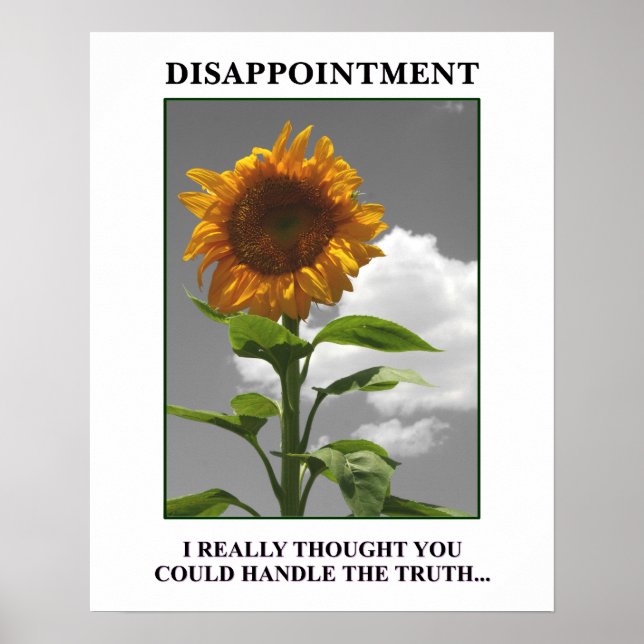 Poster Désolé de vous décevoir mais vous me décevez [S] (Devant)