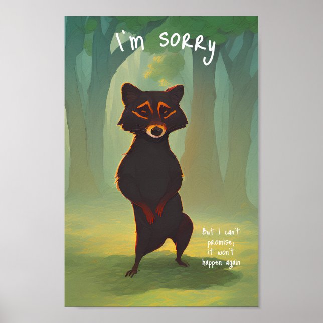 Poster Désolé, mais je ne peux pas promettre que ça ne se (Devant)