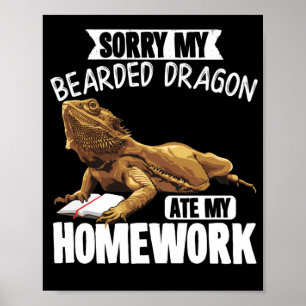 Poster Désolé, Mon Dragon Porté A Mangé Mes Reptiles