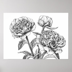 Poster Dessin à encre de rose