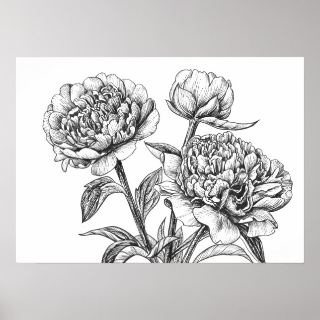 Poster Dessin à encre de rose (Devant)
