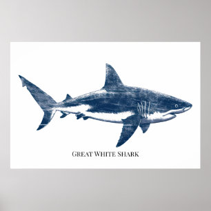Poster Dessin antique d'un requin