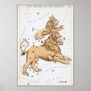 Poster Dessin astrologique de Leo