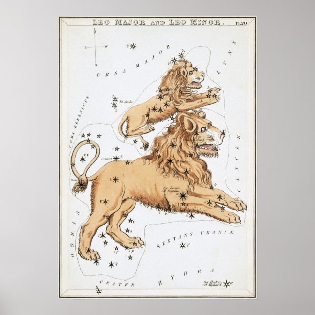 Poster Dessin astrologique de Leo (Devant)