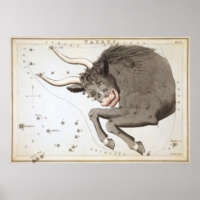 Poster Dessin astrologique de Taurus (Devant)