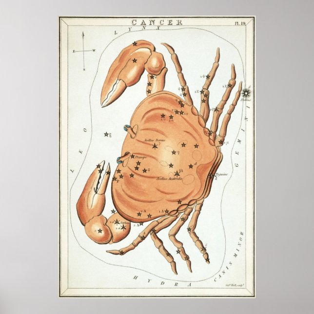 Poster Dessin astrologique du cancer (Devant)