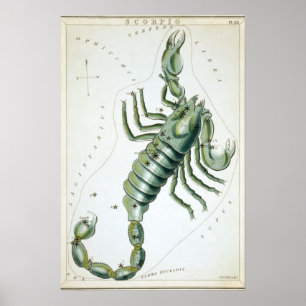 Poster Dessin astrologique Scorpion