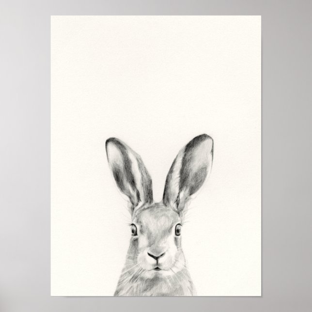 Poster Dessin au crayon de lapin (Devant)