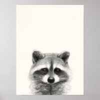 Dessin au crayon Raccoon