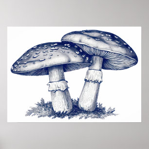 Poster Dessin aux champignons antiques