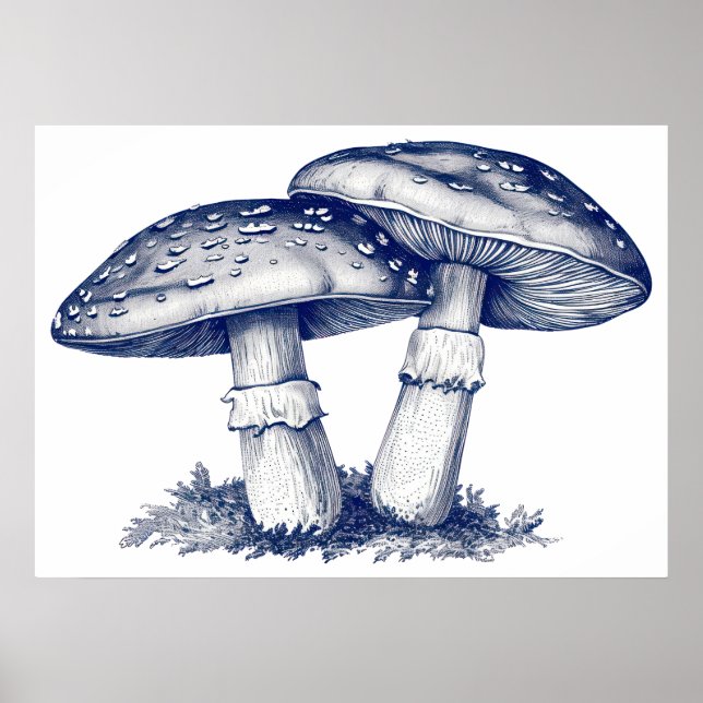 Poster Dessin aux champignons antiques (Devant)