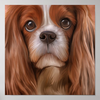 Poster Dessin Chien Cavalier King Charles Spaniel