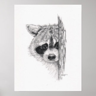 Poster Dessin crayon 'Pékin Raccoon'