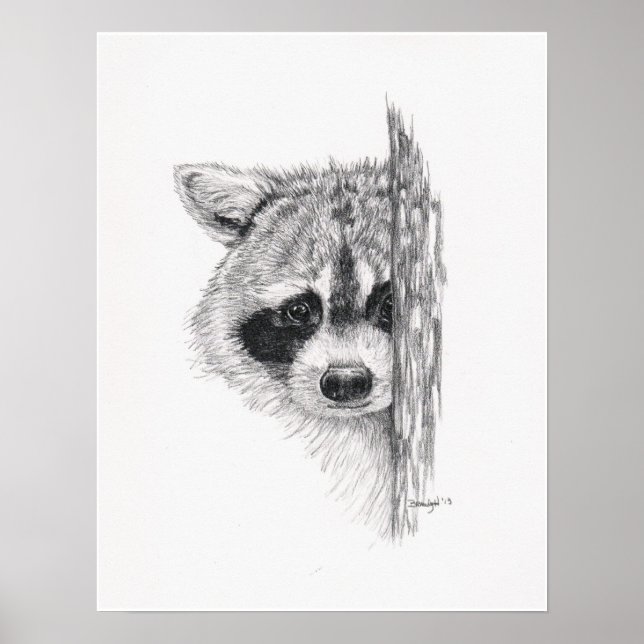 Poster Dessin crayon 'Pékin Raccoon' (Devant)