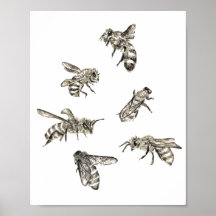 Dessin d'abeilles