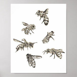Poster Dessin d'abeilles