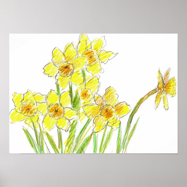 Poster Dessin d'aquarelle du jardin jonquille printanière (Devant)