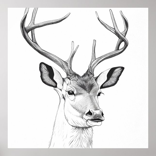 Poster Dessin d'art d'illustrations d'animaux de la natur (Devant)